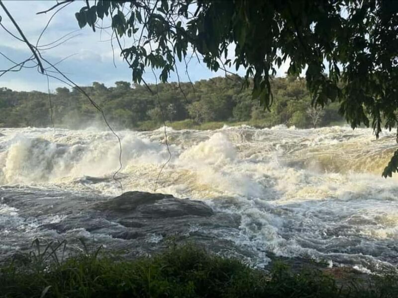 Uganda: 2-Day Murchison Falls National Park Safari and Big 5 - Practical Tips for Travelers