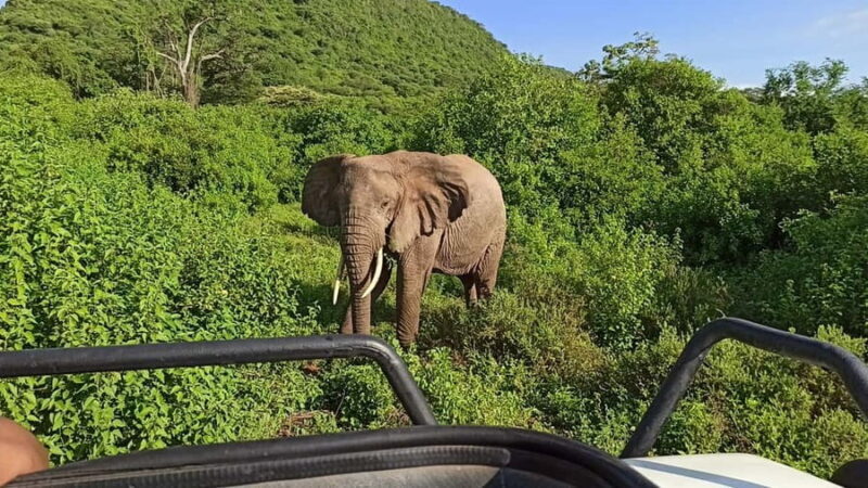 Uganda: 2-Day Queen Elizabeth National Park Safari - Key Points