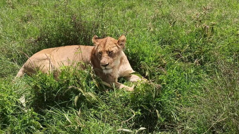 Uganda: 2-Day Queen Elizabeth National Park Safari - The Experience — What Travelers Say