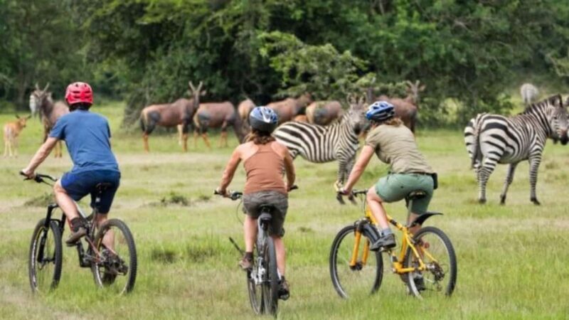 Uganda: 3-Day Lake Mburo National Park Adventure Tour - Key Points