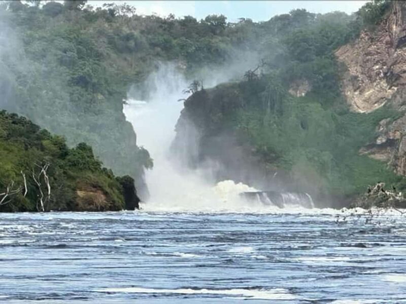 Uganda: 3-Day Murchison Falls National Park Safari and Big 5 - Exploring Murchison Falls: A 3-Day Adventure