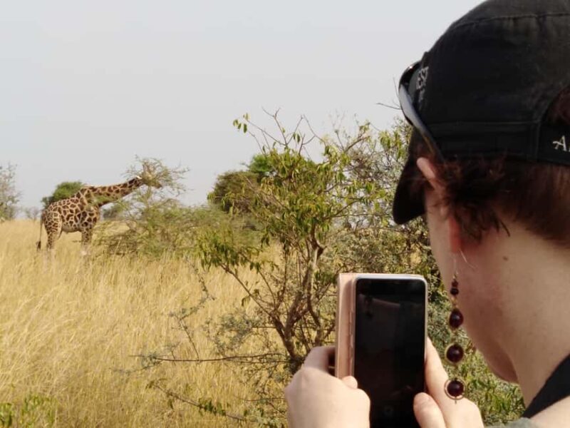 Uganda: 6-Day Safari with Kibale, Queen Elizabeth & More - Final Thoughts: Is This the Right Safari for You?
