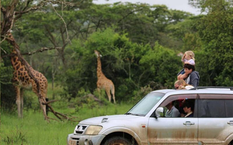 Uganda: 9-Day Roundtrip with Chimpanzee Tracking - Key Points