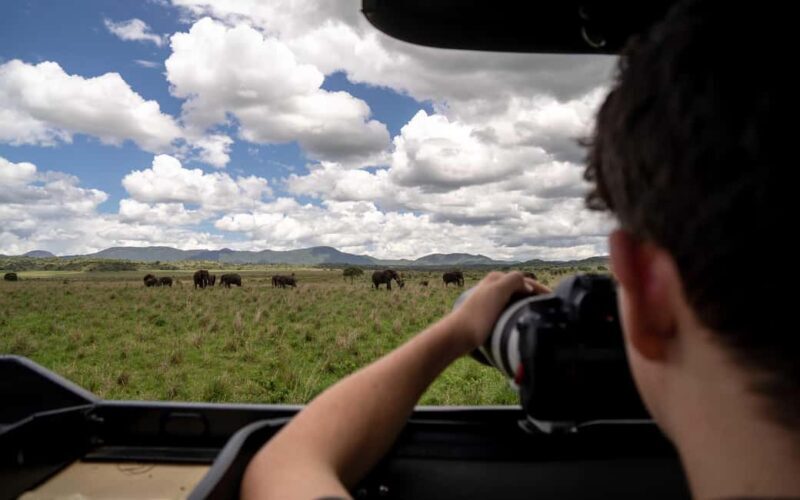 Uganda: 9-Day Roundtrip with Chimpanzee Tracking - What Makes This Tour Stand Out?
