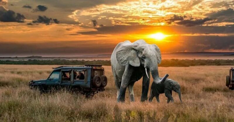Uganda and Rwanda: 13-Day Luxury Safari with Gorilla - A Detailed Look at the Itinerary