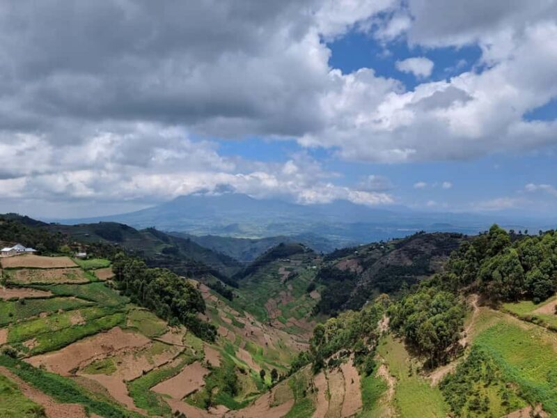 Uganda and Rwanda: 8-Day Gorillas and Wildlife Safari - An Introduction to the Tour