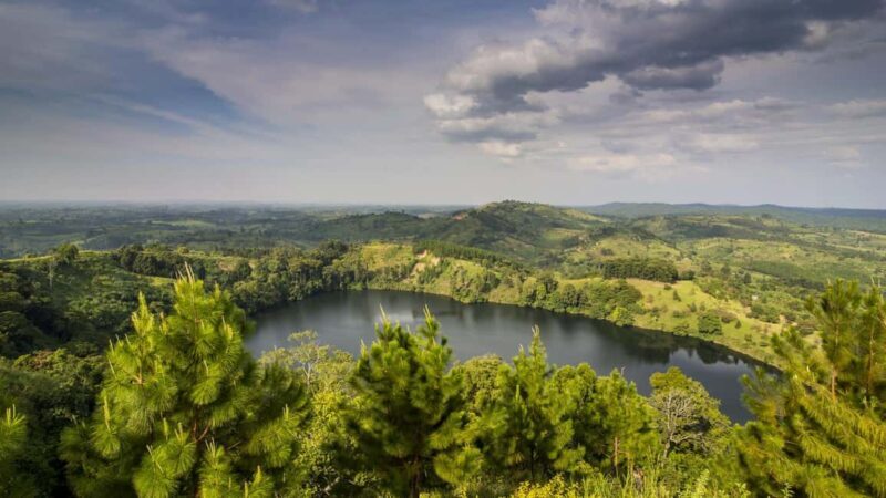 Uganda :Chimpazee Trekking at Kibale Park & Fort Portal tour - Exploring Kibale National Park: The Primates’ Playground