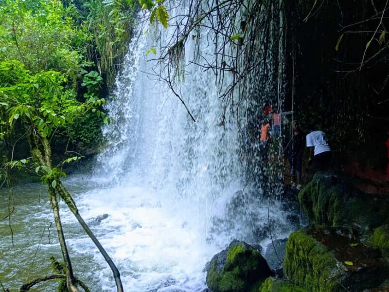 Uganda :Chimpazee Trekking at Kibale Park & Fort Portal tour - The Wonders of the Amabere Caves and Crater Lakes