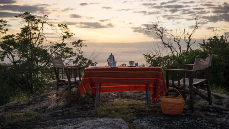 UGANDA EXOTIC SAFARI  BUSH CAMP RETREAT | 4-Day Luxury - An Honest Look at the Experience