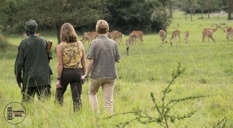 UGANDA EXOTIC SAFARI  BUSH CAMP RETREAT | 4-Day Luxury - Logistics & Practical Tips