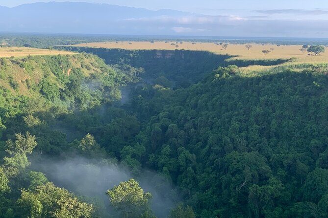 Uganda Gorilla Safari - Key Points