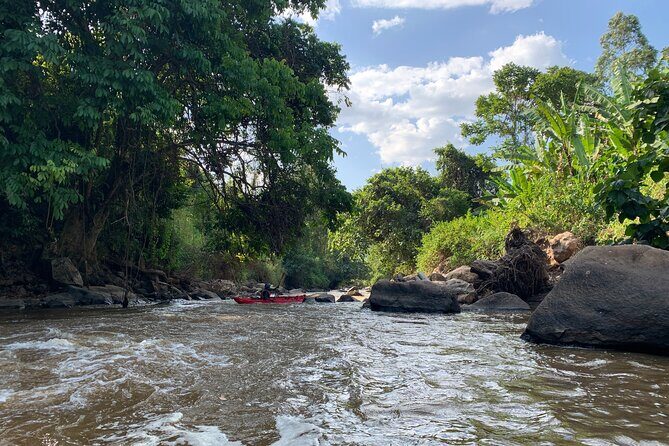 Uganda Jungle Rafting - Key Points