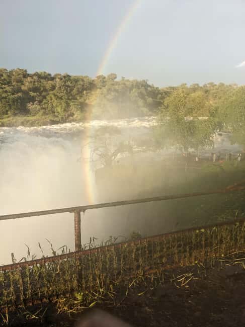 Uganda: Murchison Falls National Park - An In-Depth Look at the Murchison Falls Tour