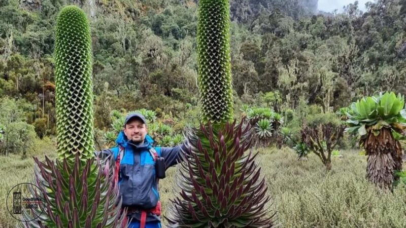 UGANDA RWENZORI WATERFALLS & MONTANE ALLURE | 6-Day Hike - Key Points