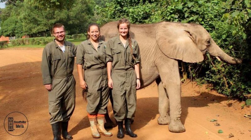 UGANDA SANCTUARY JOURNEY THE CONSERVATION WORLD | 5-Days - Discovering Uganda’s Wildlife and Conservation Efforts