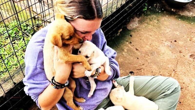 UGANDA WAGYTAILS HORSE CUDDLES ZOO TALES MINI-SAFARI - An In-Depth Look at the Uganda Wagytails Experience