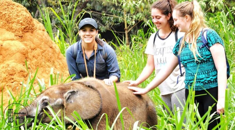 UGANDA WAGYTAILS HORSE CUDDLES ZOO TALES MINI-SAFARI - FAQs