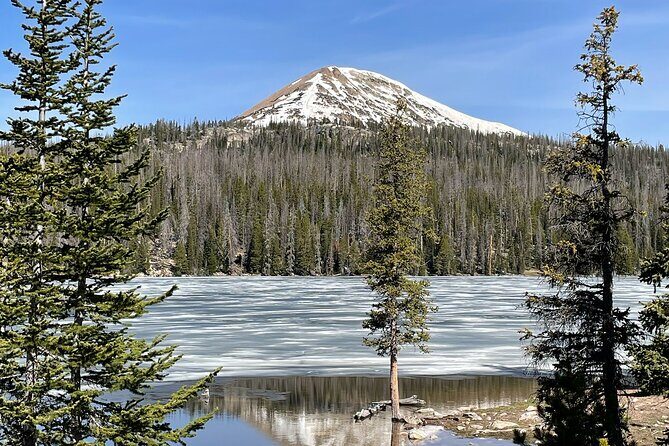 Uinta Mountains Birding and Nature Expedition - Key Points