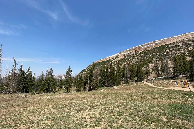Uinta Mountains Birding and Nature Expedition - The Sum Up