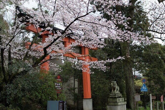 Uji Tea Ceremony and UNESCO Heritage Walking Tour - The Sum Up