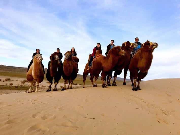 Ulaanbaatar: Semi-Gobi Desert Day Trip & Camel Ride - An Honest Look at the Semi-Gobi Day Trip