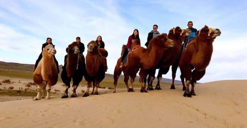 Ulaanbaatar: Semi-Gobi Desert Day Trip & Camel Ride - FAQ