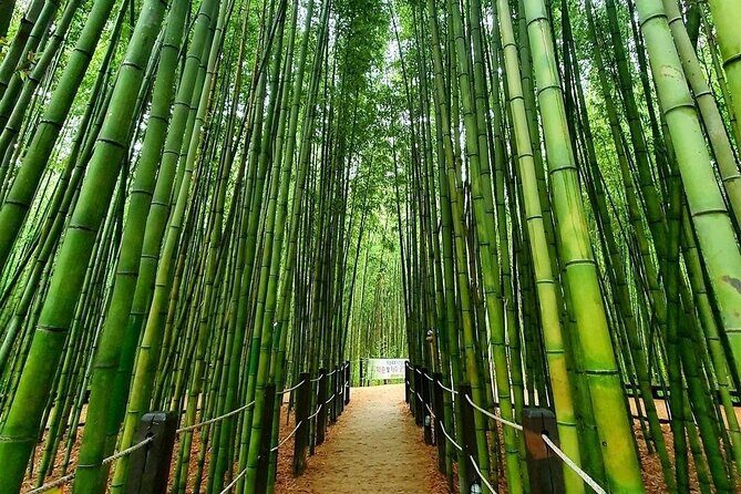 Ulsan Full Day Private Car Tour from Busan with a Certified Guide - Frequently Asked Questions