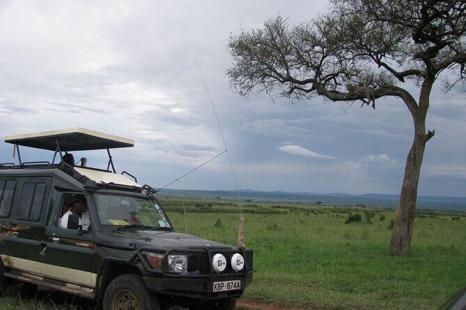 Ultimate 12 Days Private Safari Tour in Kenya and Tanzania - The Sum Up