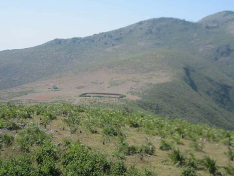 Ultimate 2-Day Tour of Jeypore and Koraput - Discovering Odisha: A 2-Day Journey