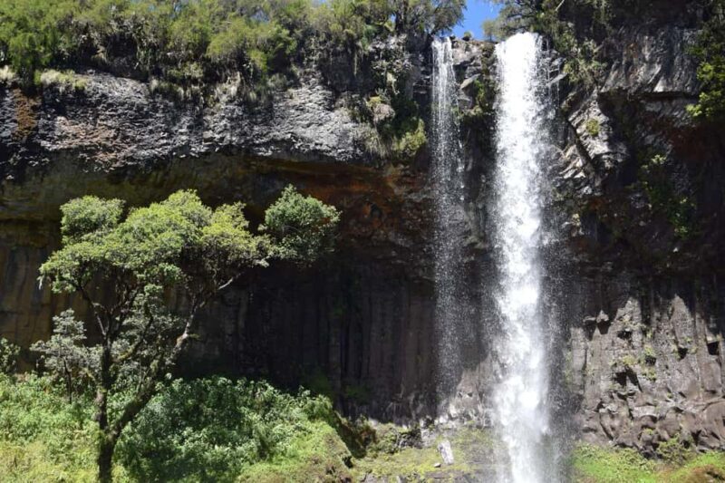 Ultimate 4-day Aberdare Camping: Mindful Mountain Escape - Key Points