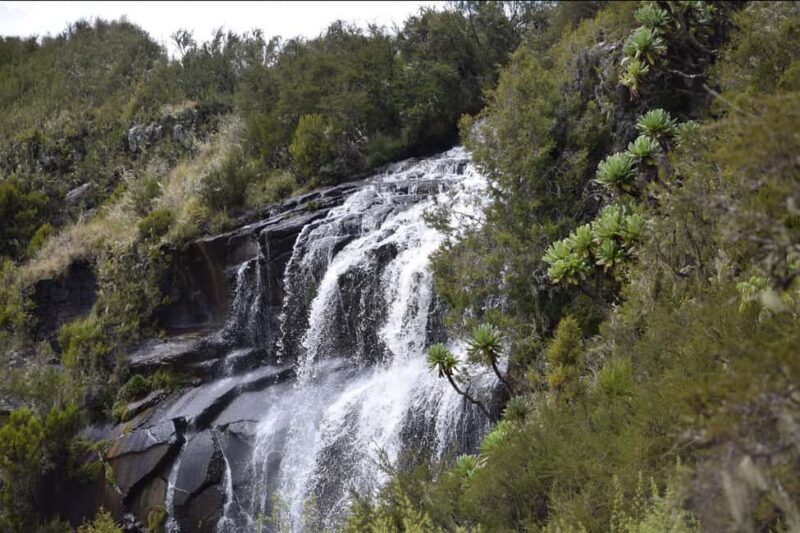 Ultimate 4-day Aberdare Camping: Mindful Mountain Escape - FAQ