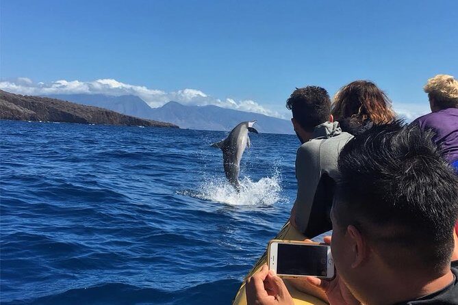 Ultimate 4 Hour Lanai Snorkel and Dolphin Encounter - Why This Tour Stands Out