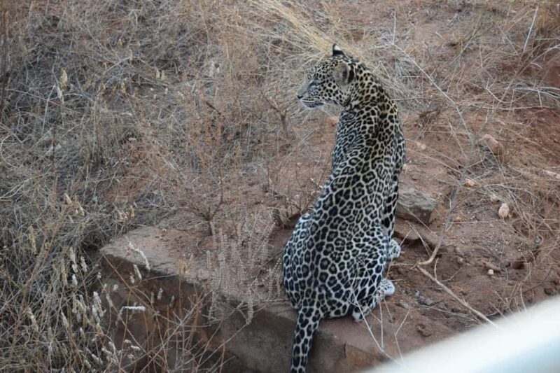 Ultimate 5 Days Amboseli Tsavo West & Tsavo East Safari. - Practical Details & Tips for Travelers