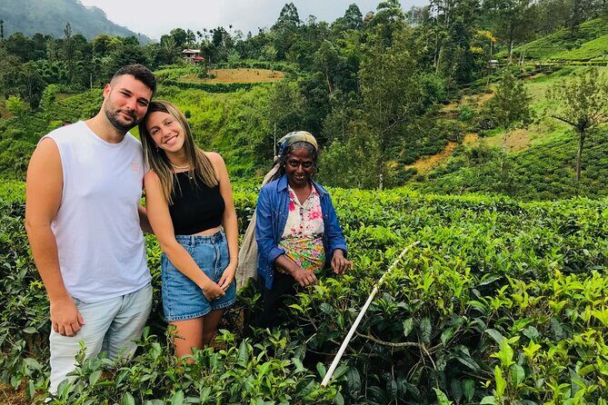 Ultimate 8-Day Sri Lanka Adventure: Private Guided Tour - An In-Depth Look at the 8-Day Sri Lanka Tour