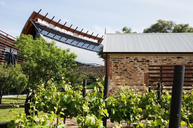 Ultimate Adelaide City and Hahndorf Tour - Final Thoughts
