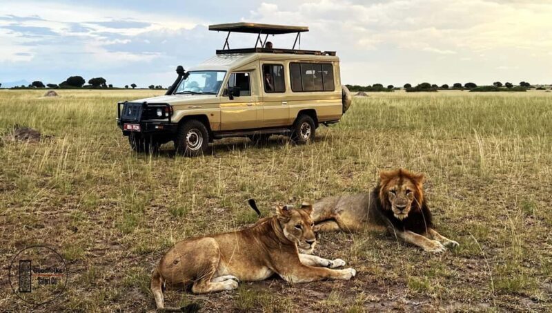 ULTIMATE AK47 TARGET SHOOT, BOAT CRUISE & SAFARI | Advent - Key Points