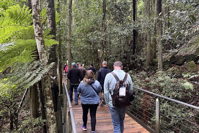 Ultimate All Inclusive Blue Mountains with Scenic World Tour - Who Will Love This Tour?