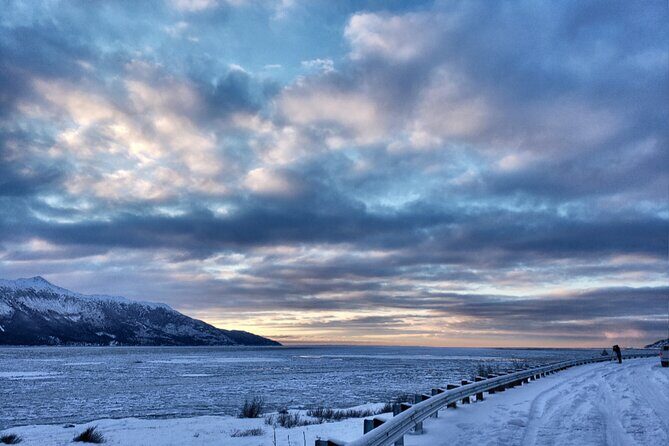 Ultimate Anchorage Winter Wildlife & Sunset Tour - Exploring the Itinerary in Detail
