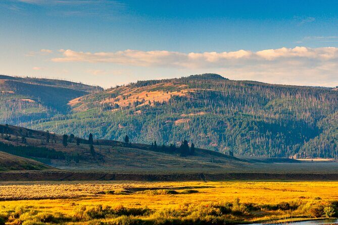 Ultimate Audio Tours: Yellowstone, Glacier, Grand Teton & Banff - FAQs