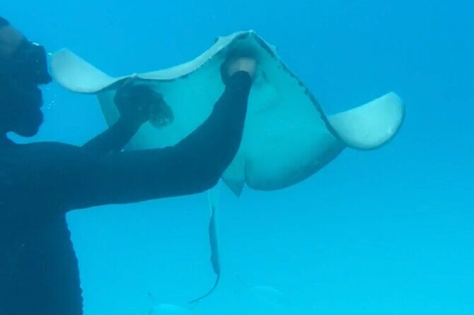 Ultimate Barbados Beach Day And Snorkel Cruise - Pricing and Value