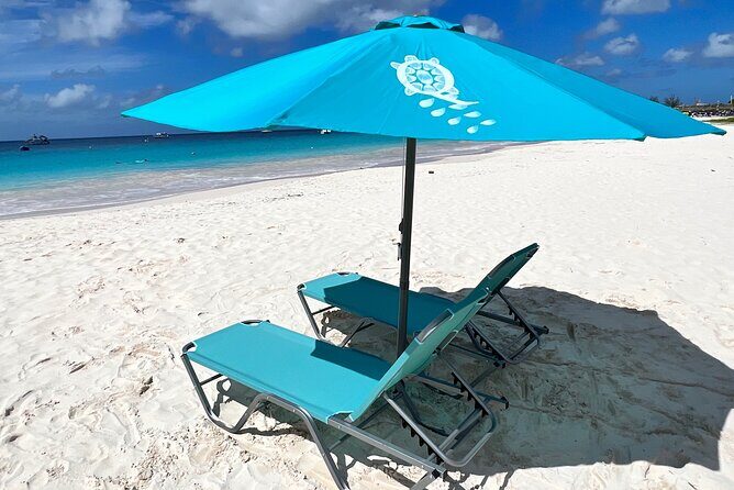 Ultimate Barbados Beach Day And Snorkel Cruise - Who Will Love This Tour?