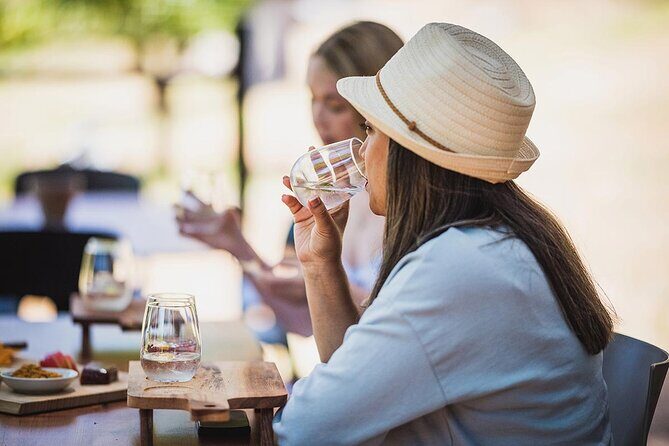 Ultimate Bickley Valley: Wine, Gin & Cider - Small Group Tour - Who Should Consider This Tour?