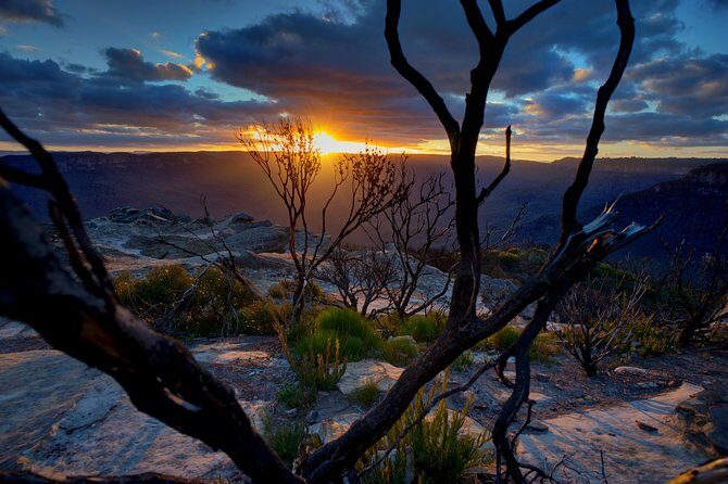 Ultimate Blue Mountains and Wildlife Tour - Key Points