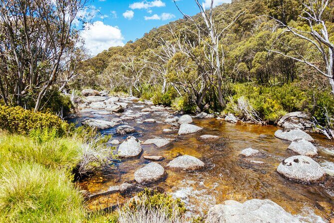 Ultimate Blue Mountains and Wildlife Tour - Frequently Asked Questions