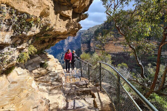 Ultimate Blue Mountains Private Tour with Scenic World and Wildlife Park - A Deep Dive into the Blue Mountains Private Tour Experience