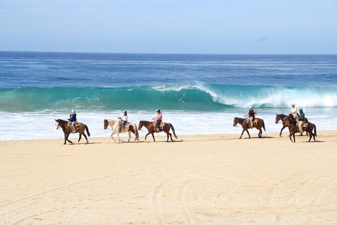 Ultimate Cabo Adventure UTV Horseback and Sky Bike Combo - Key Points