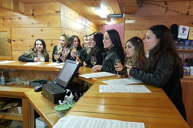 Ultimate Craft Beer Tour Through Niagara - An Introduction to the Tour Experience