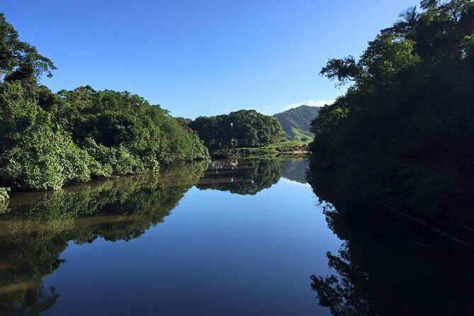 Ultimate Daintree Rainforest Wildlife Experience Cruise - An Honest Breakdown of the Experience
