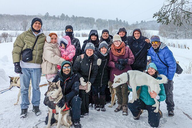 Ultimate Dog Sledding Tour - Day trip from Ottawa & Gatineau - Dog Sledding: An Authentic Winter Experience