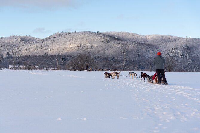 Ultimate Dog Sledding Tour - Day trip from Ottawa & Gatineau - Guided Hike to the Waterfall